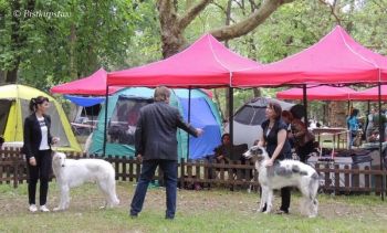 Křídlovka Bistkupstwo